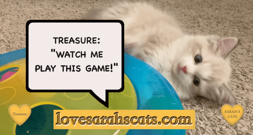Cats Video Comics Gamer Treasure the Cat Watch Him&nbsp;Play