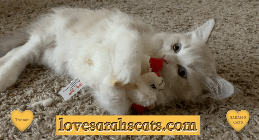 When You Need A Comfort Toy Treasure the Cat with&nbsp;Toy